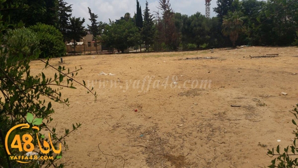 3oshb akhdar (1).jpg